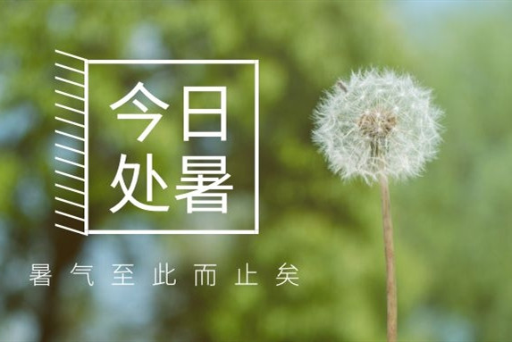 【衡陽(yáng)通用電纜】處暑不是暑，秋涼知我意